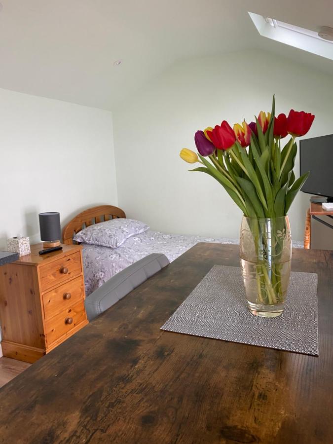 Апартаменти Cosy 1 Bed Garden Annexe Колчестер Екстер'єр фото